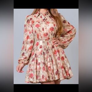 Vintage Rose Garden Mini Dress